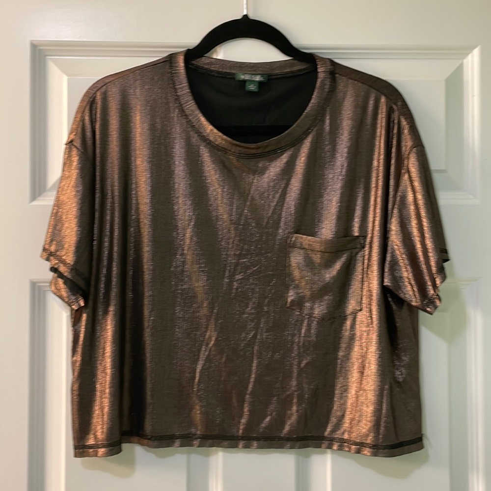 Wild Fable Shimmer Crop Top